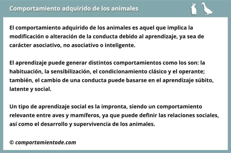 Resumen, esquema sobre el comportamiento adquirido de los animales.